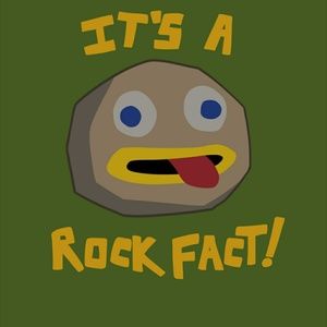 Meet your Posher, Ray